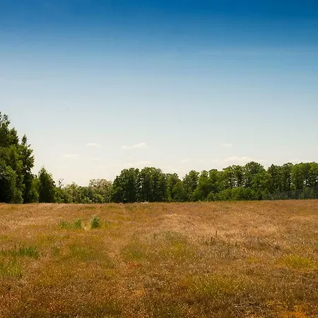 Dom Kampinos Wola Pasikonska